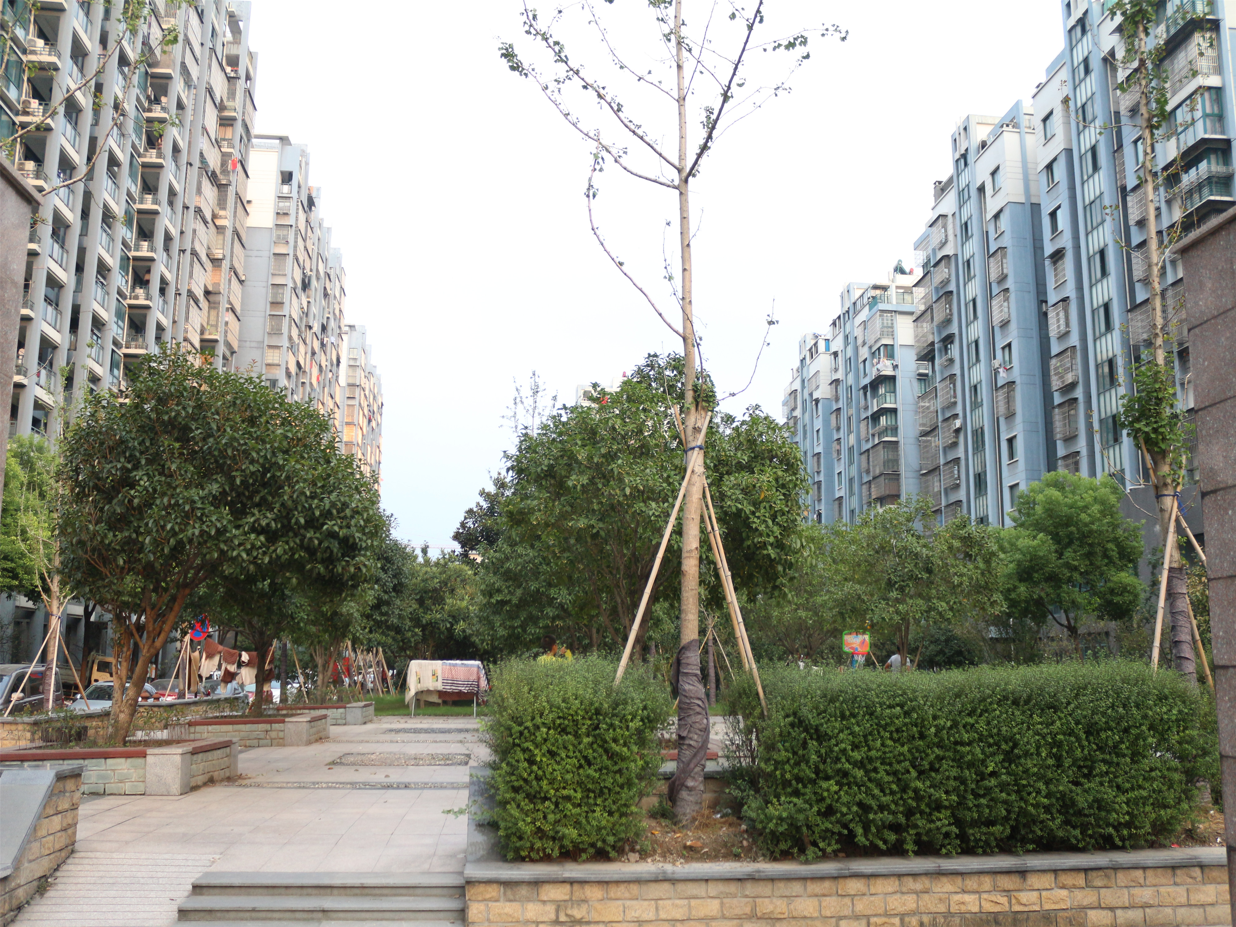 Yingchun Nanyuan compound photo 9