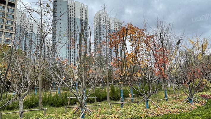 海天雅筑外景图