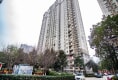 康桥小区户型图实景图
