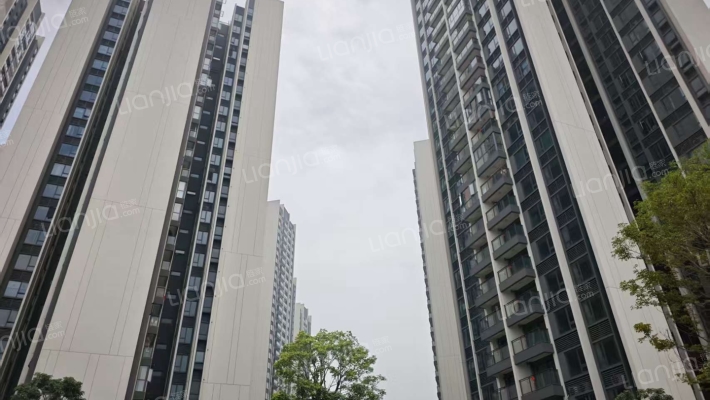 信达珺悦蓝庭外景图