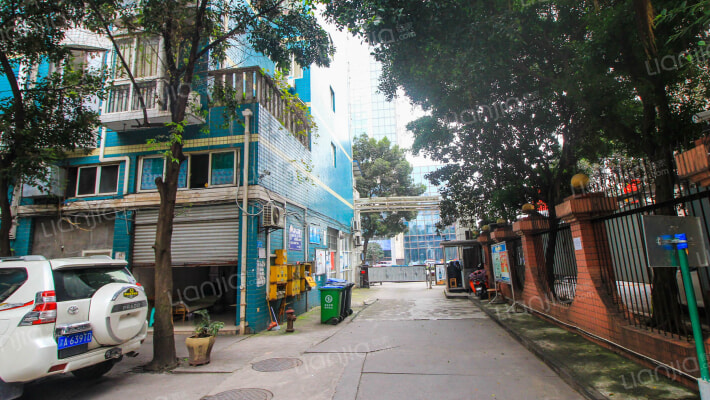 堤岸春晓外景图