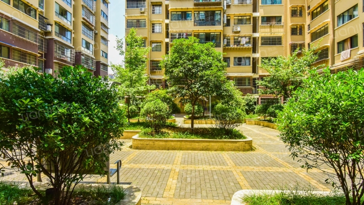 天骄南苑外景图