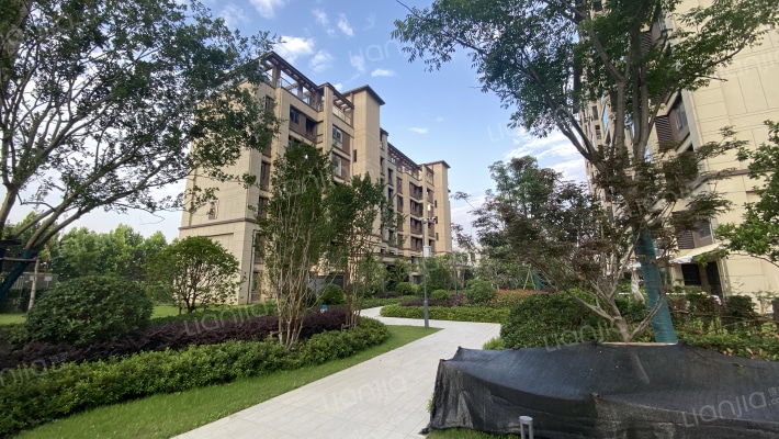 天创黄金时代外景图