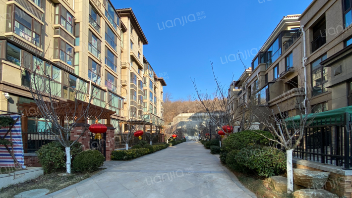 伴山壹号紫林园外景图