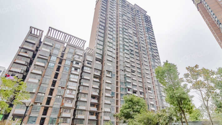 大兴新居C区外景图