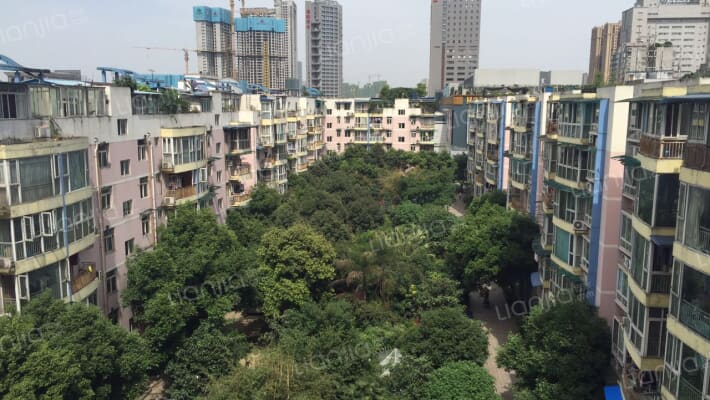 阳光花园(武侯)外景图