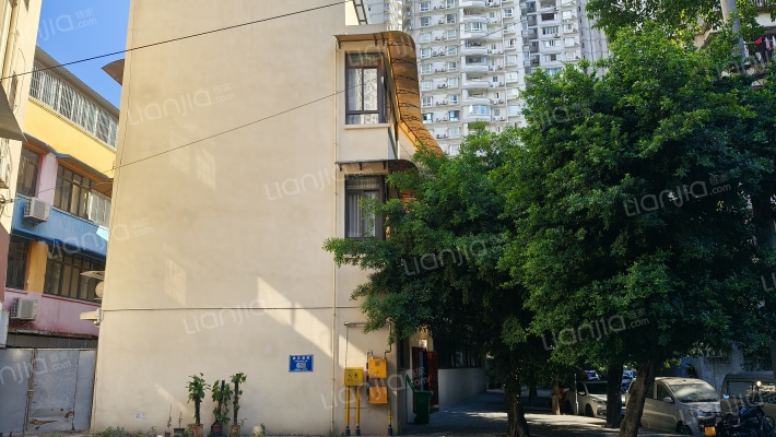 桃花溪街外景图