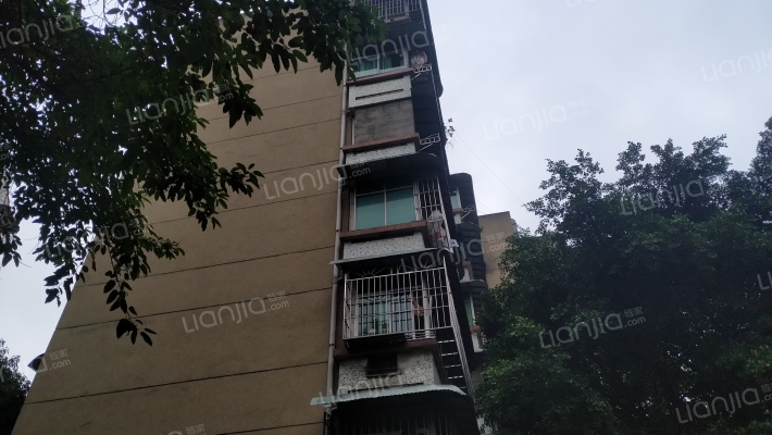 晒光坪56号外景图