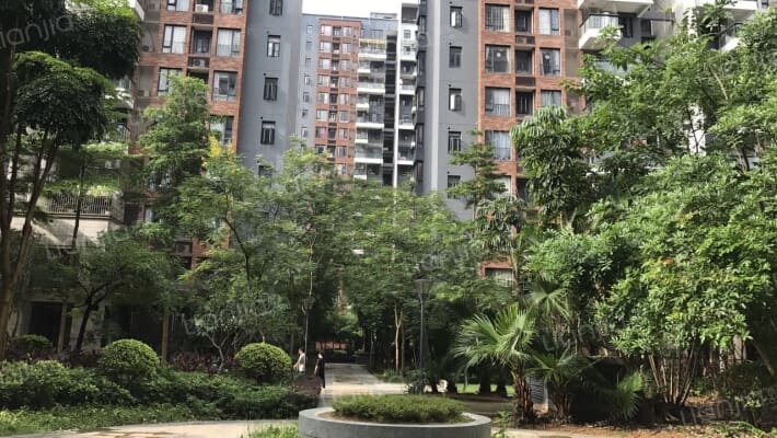 滨江公馆外景图