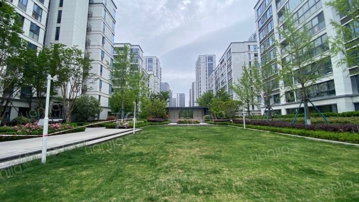 悦风荷锦庭外景图