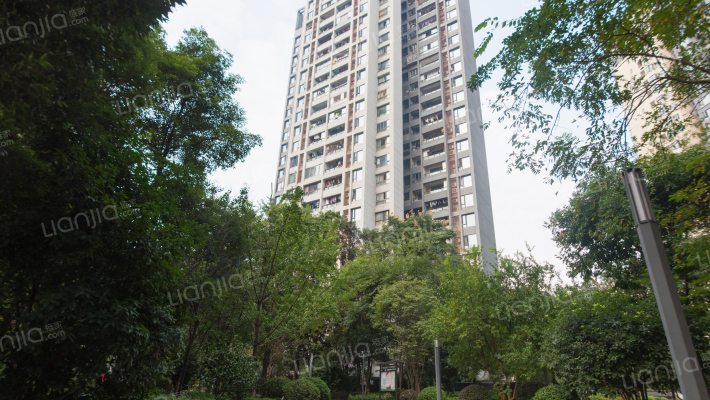 仁安龙城国际三期外景图