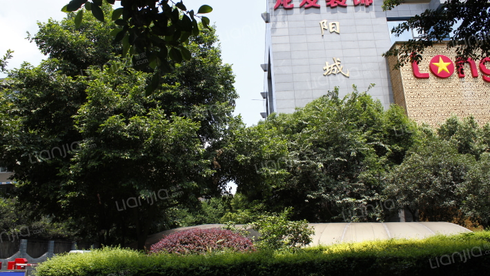 阳城大厦外景图