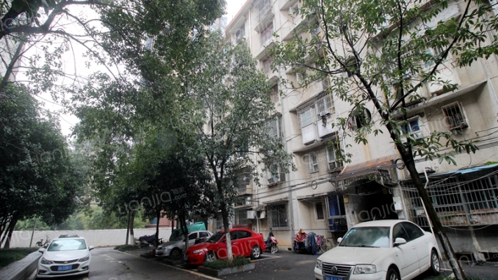 丽臣宿舍外景图