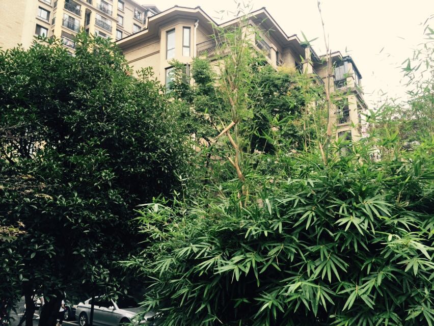 Jiangnan Moka compound photo 18