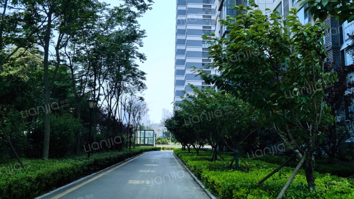 唐岛海岸外景图