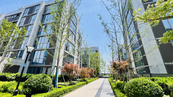 宸风云庐C区外景图