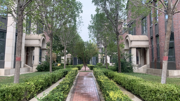 贝肯山菩提园外景图