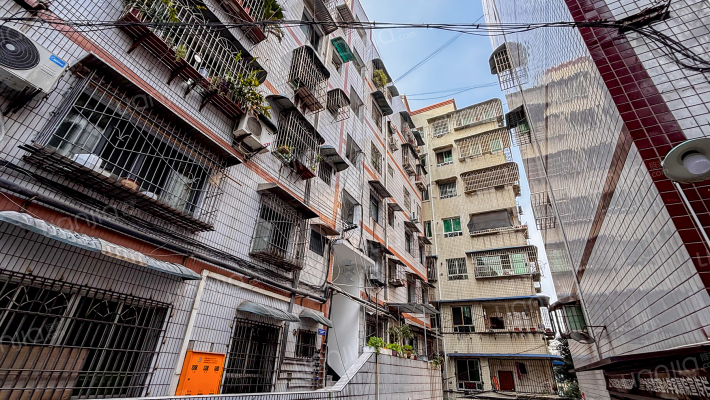 文星路380号外景图