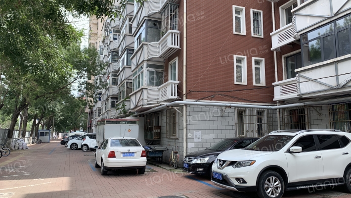 大连道(塘沽区)外景图