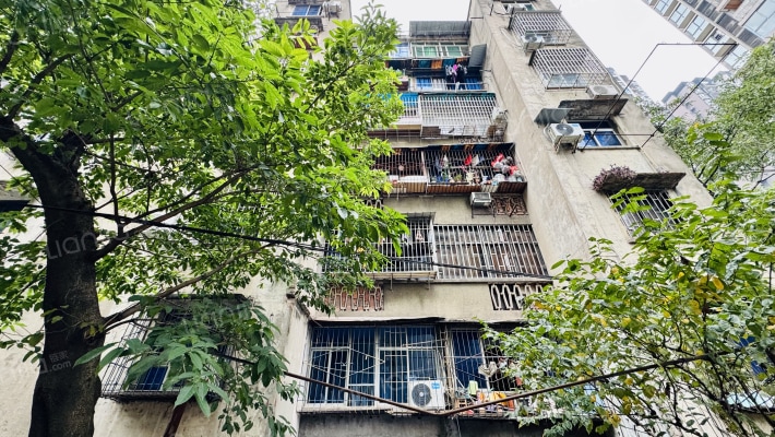 红育坡63号外景图