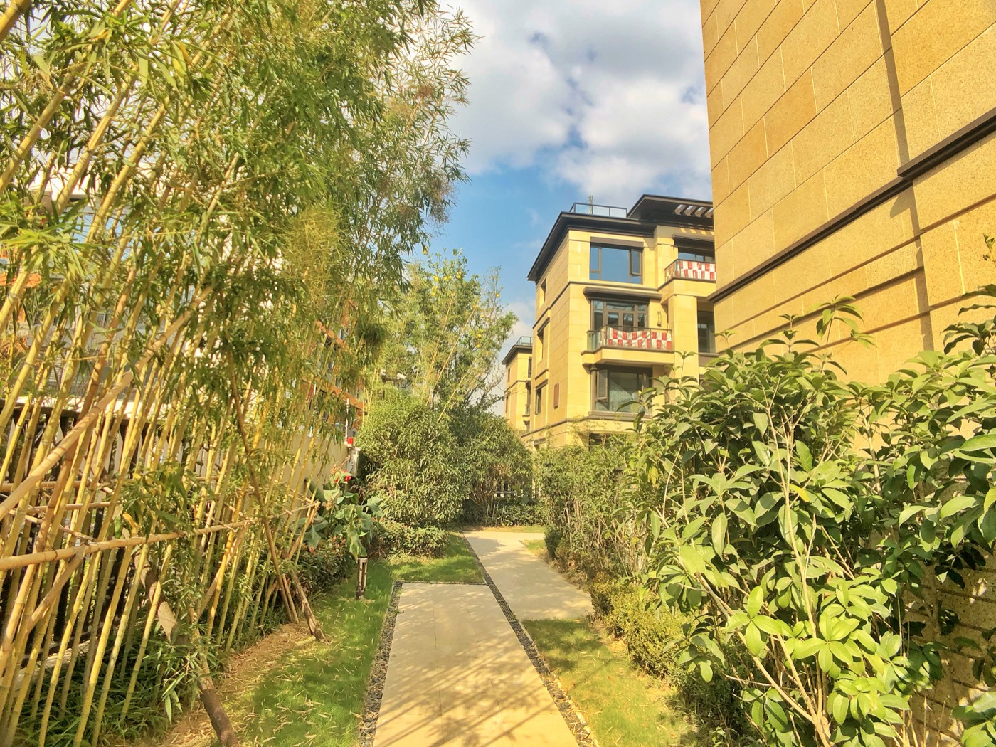 富力西溪悦居小区实景 8