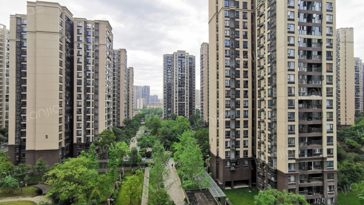 万科理想城二期·树院外景图