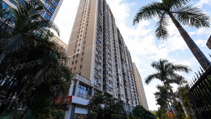 金山国际外景图