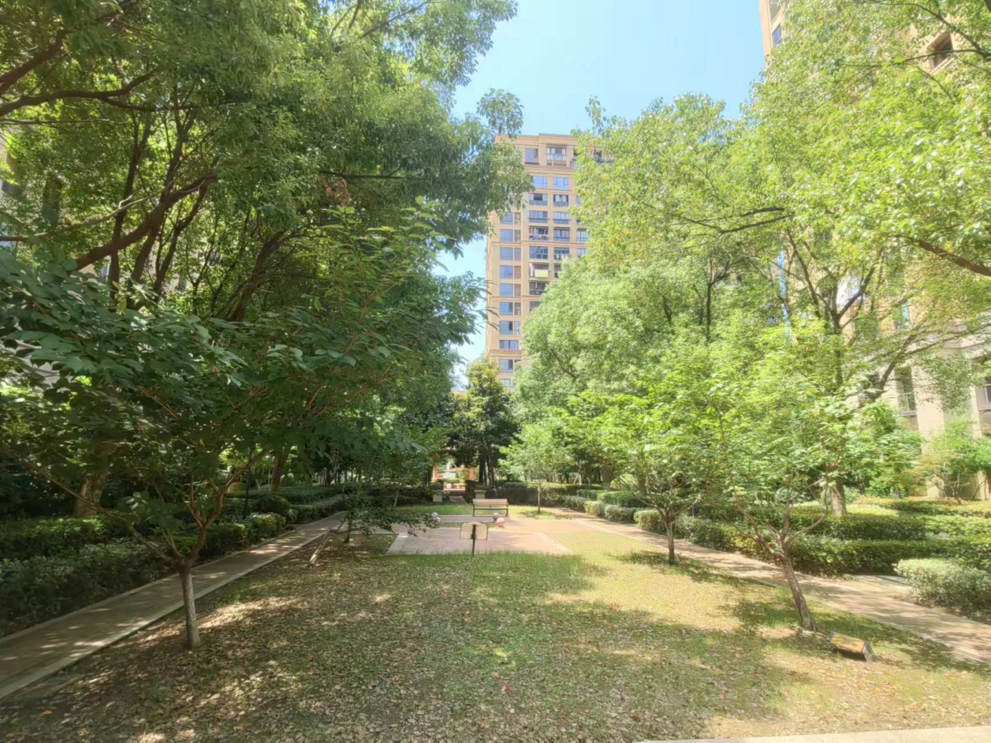 Boyue Fu compound photo 18