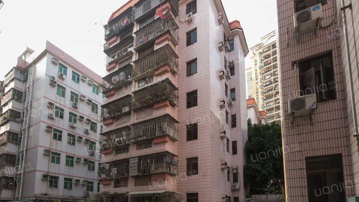 龙城新苑外景图