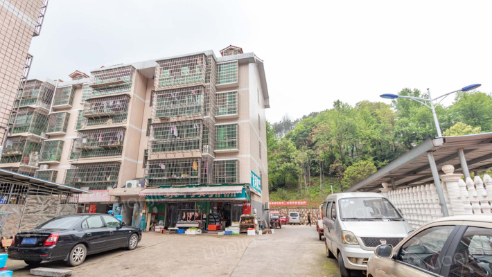 桃阳安置小区外景图