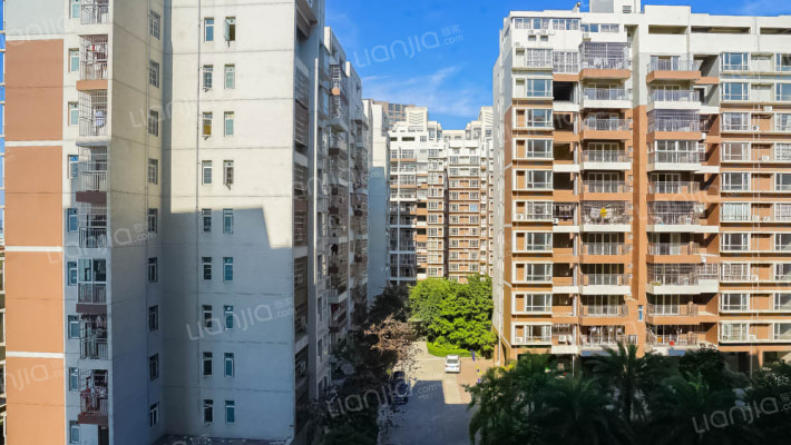 港城花园外景图