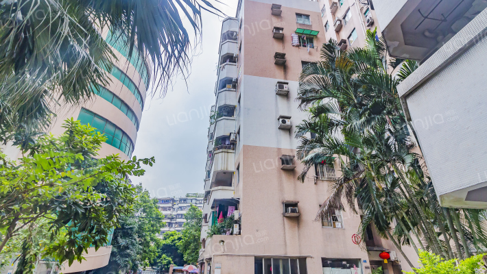 晓安花园外景图