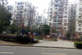 中环星干线户型图实景图