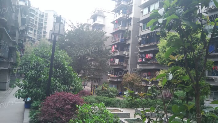 马王五村外景图