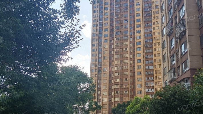 宝科鱼复天街外景图