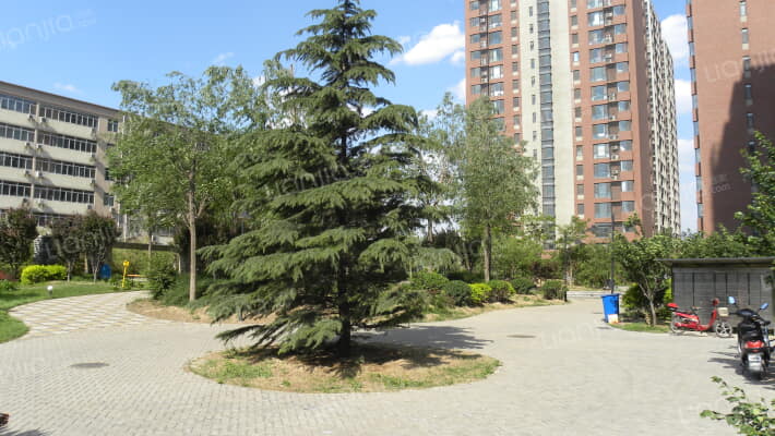 新兴年代外景图