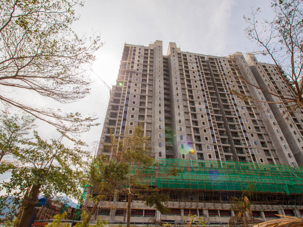 花样年家天下相册