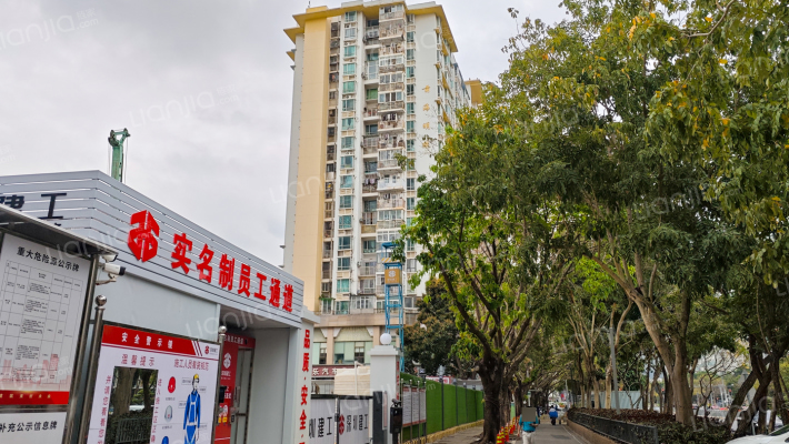 前海明珠外景图