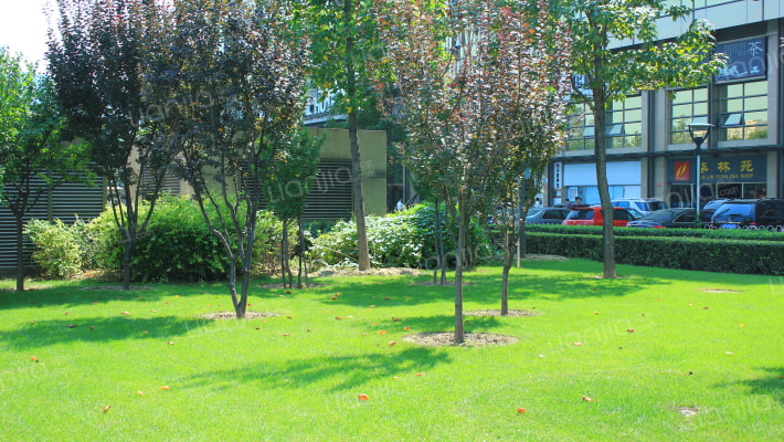 昆泰国际大厦外景图