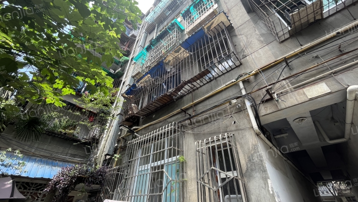 奎光西上街52号外景图