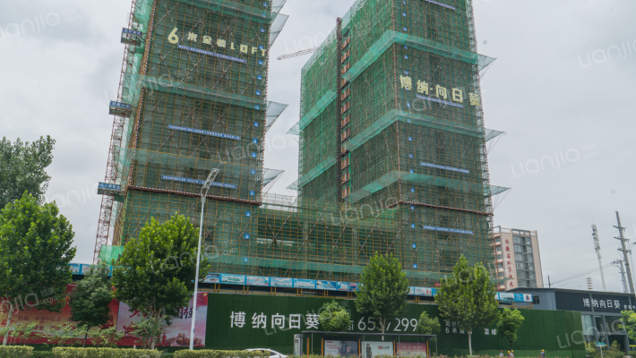 博纳向日葵外景图