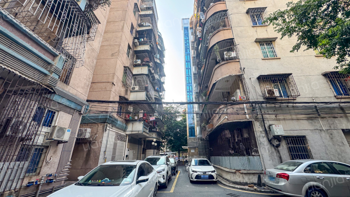 红荔新村外景图