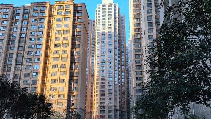 雅荷紫金阳光外景图