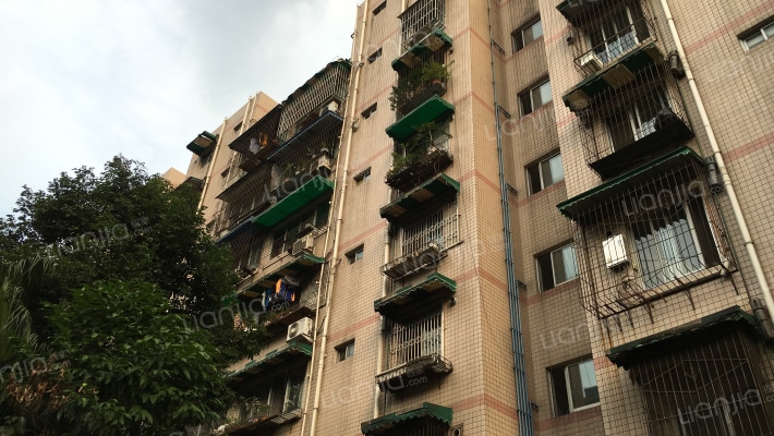 为民路89号外景图