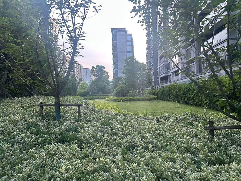 和光尘樾小区实景 4
