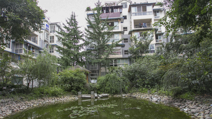 荷塘月色外景图