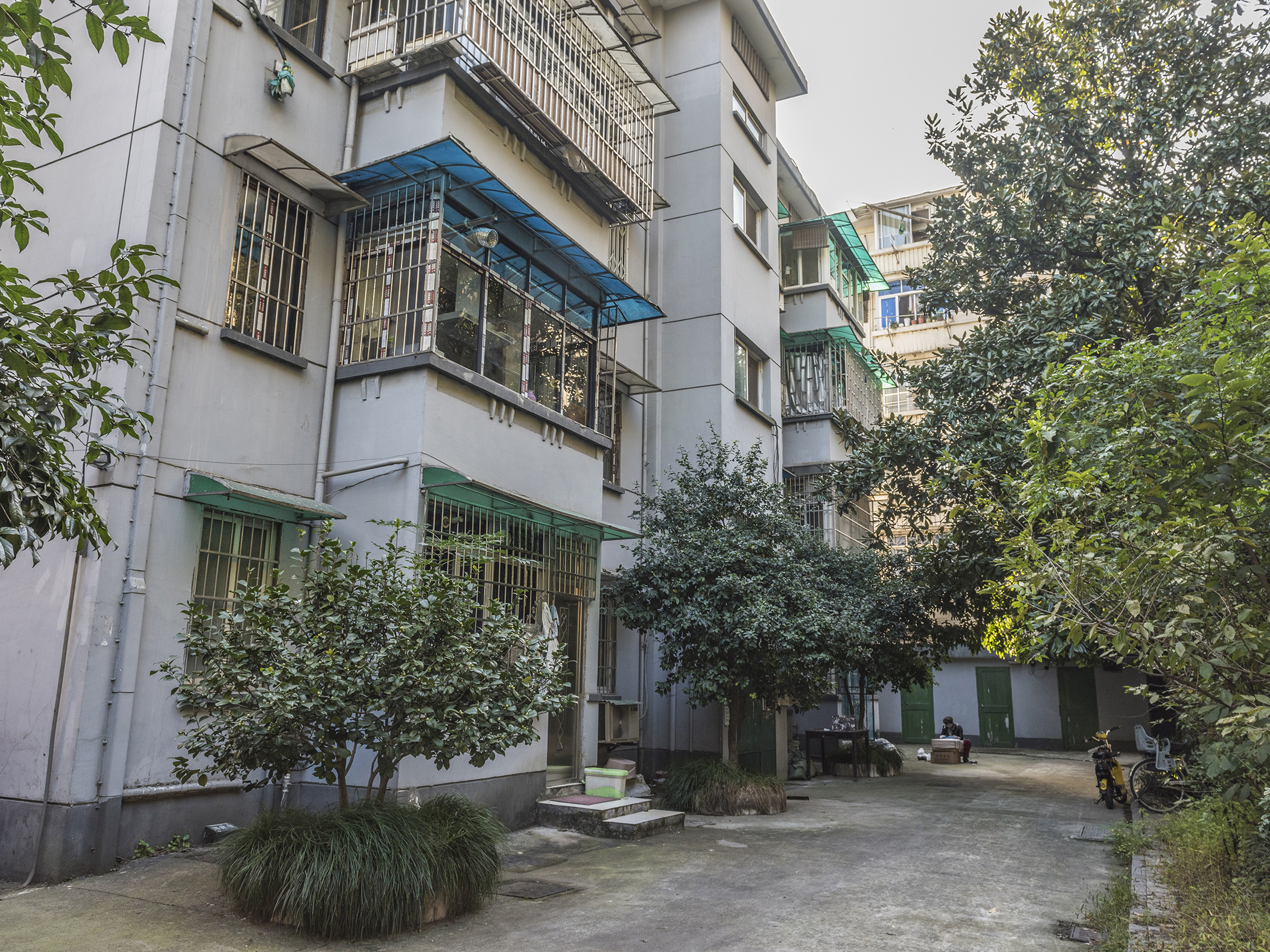 庆丰新村小区实景 11
