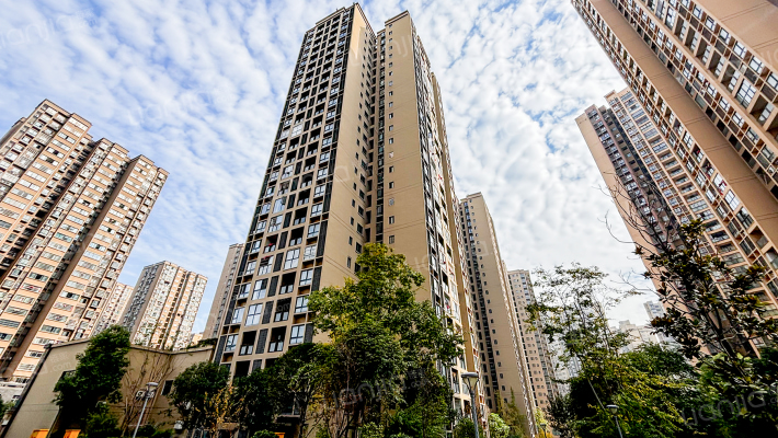 秋实学府三期外景图