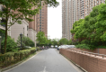 馨宁公寓户型图实景图