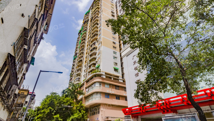 东山龙珠大厦外景图